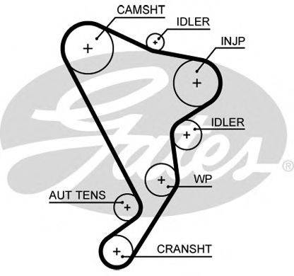 Ремень ГРМ GATES 5661XS