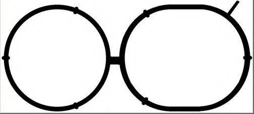 Прокладка впускного коллектора