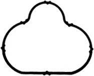 Прокладка впускного коллектора