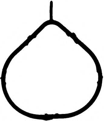 Прокладка впускного коллектора