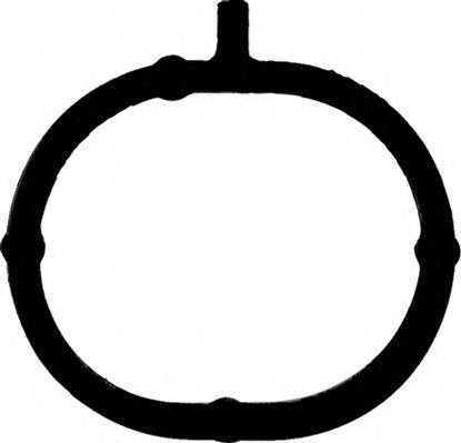 Прокладка впускного коллектора