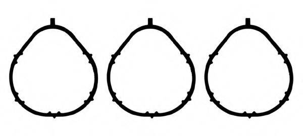 Комплект прокладок впускного коллектора