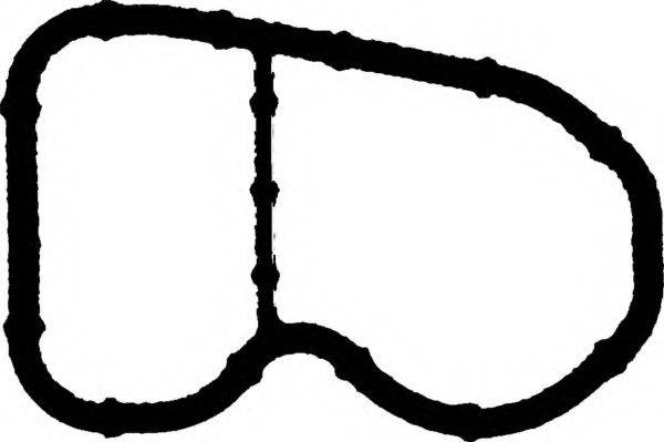 Прокладка впускного коллектора